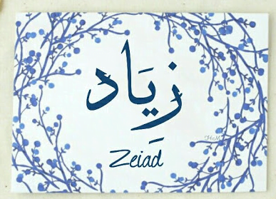 معنى اسم زياد