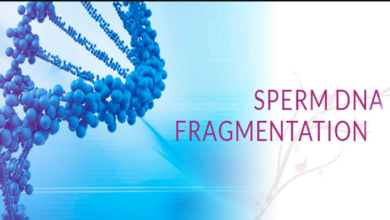 سعر تحليل sperm dna fragmentation