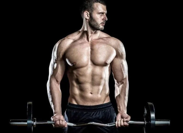 متى تظهر العضلات في كمال الأجسام