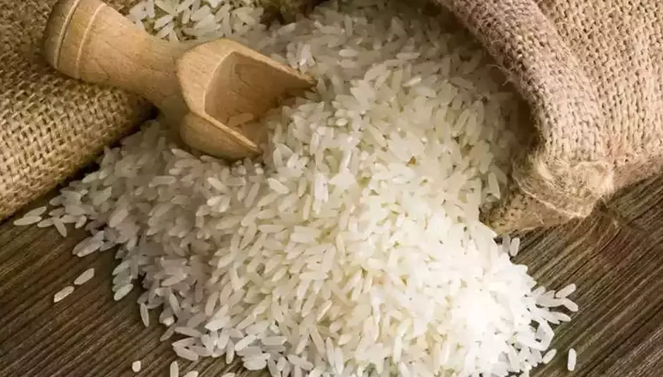 سعر شيكارة الأرز 25 كيلو اليوم