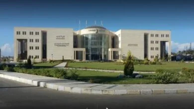 مصاريف جامعة سيناء