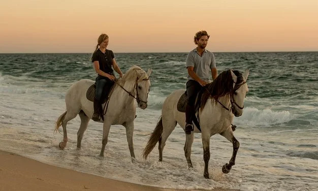 تفسير حلم ركوب الخيل